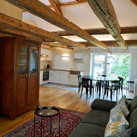 גוציס Beeindruckende Wohnung Im Rheintal מראה חיצוני תמונה