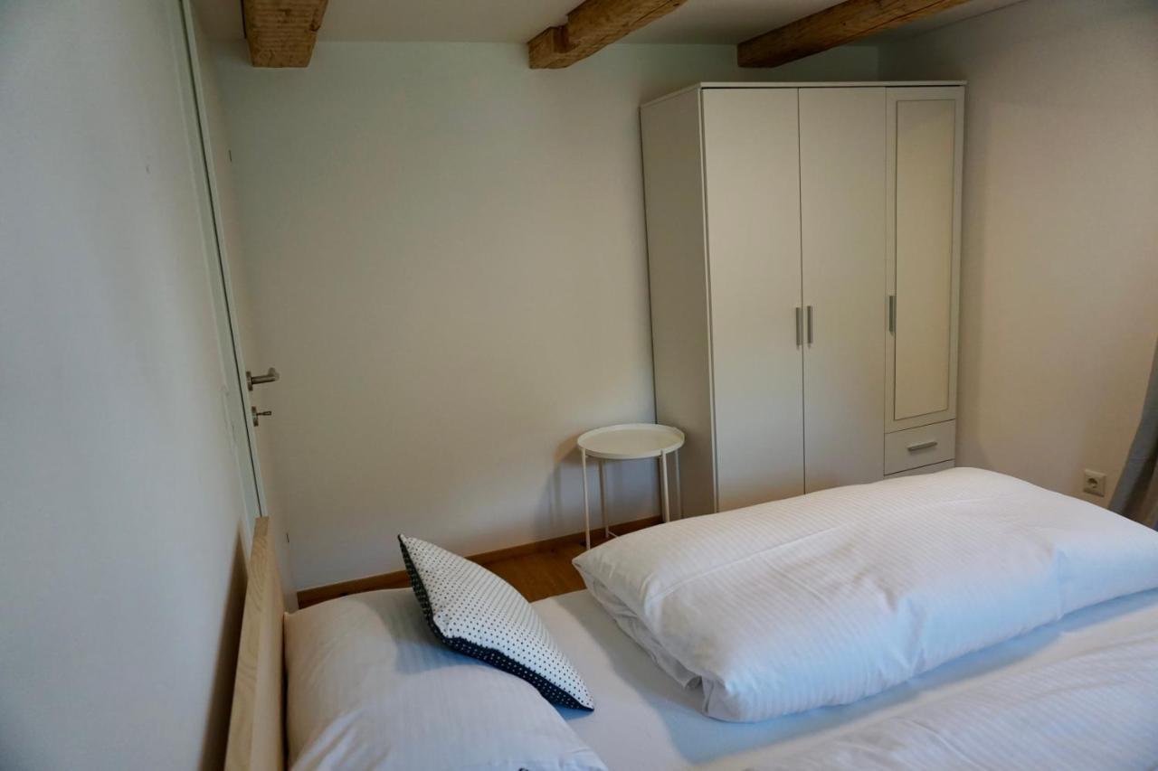 גוציס Beeindruckende Wohnung Im Rheintal מראה חיצוני תמונה