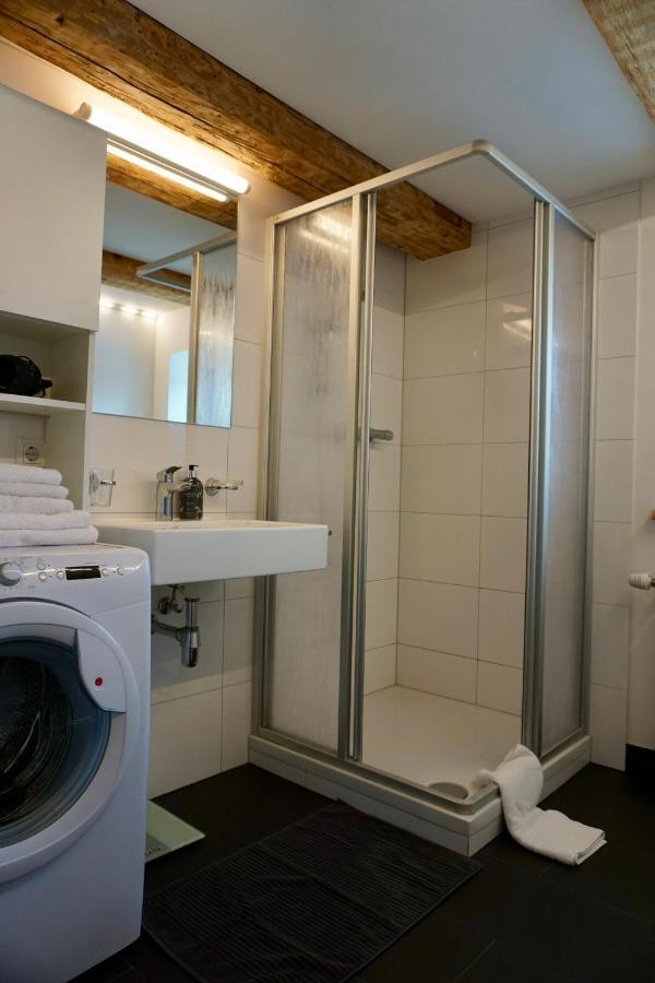 גוציס Beeindruckende Wohnung Im Rheintal מראה חיצוני תמונה