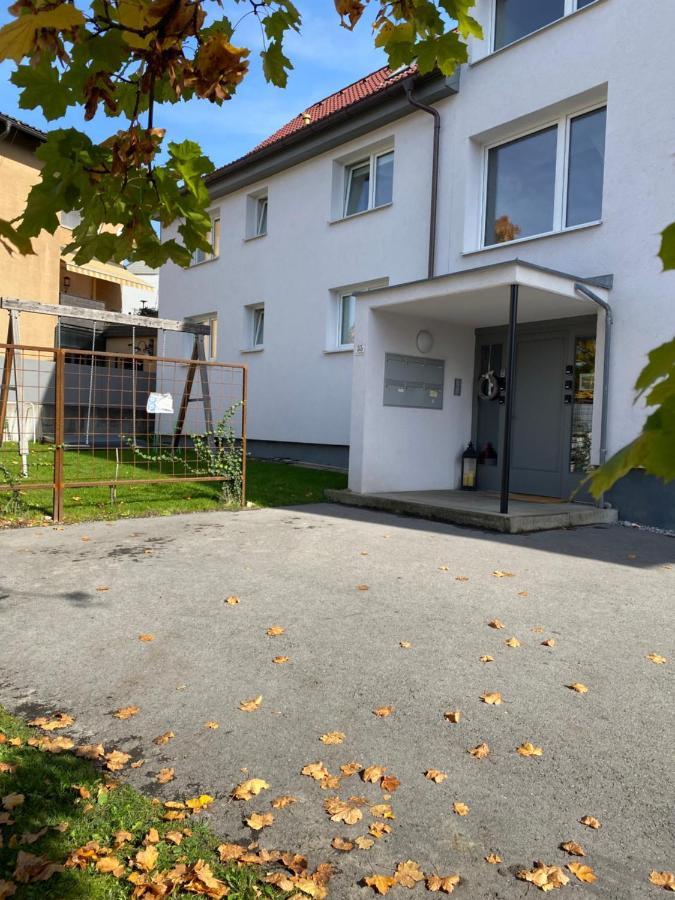 גוציס Beeindruckende Wohnung Im Rheintal מראה חיצוני תמונה